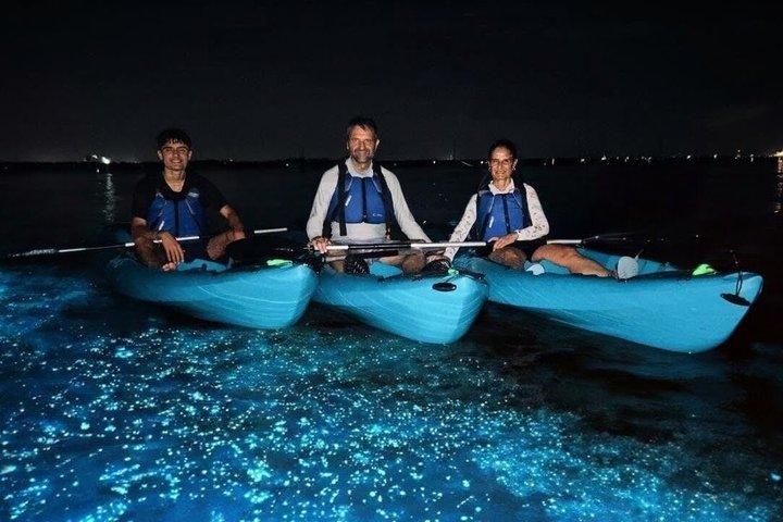 Kajaktouren und -verleih. Delfine, Seekühe und Biolumineszenz!