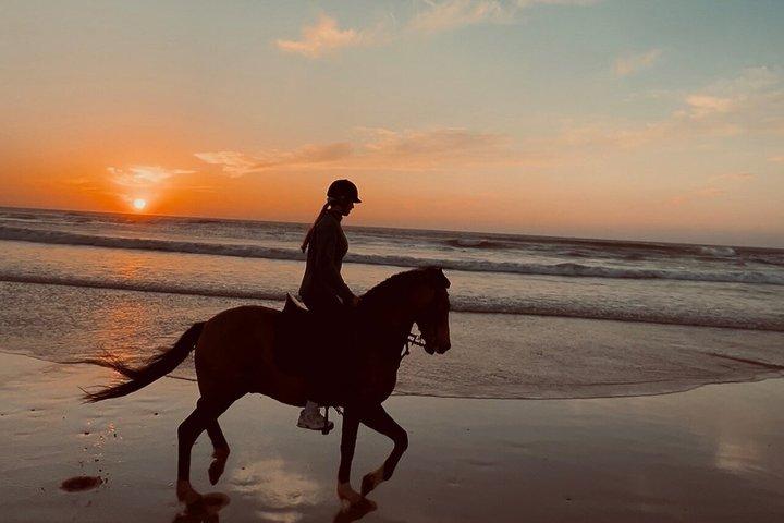 Sunset Beach Horse Ride i diabat Essaouira phooto skott och videor