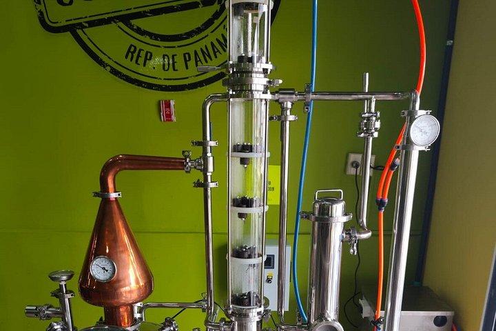 Panama Rum and Liqueur Experience