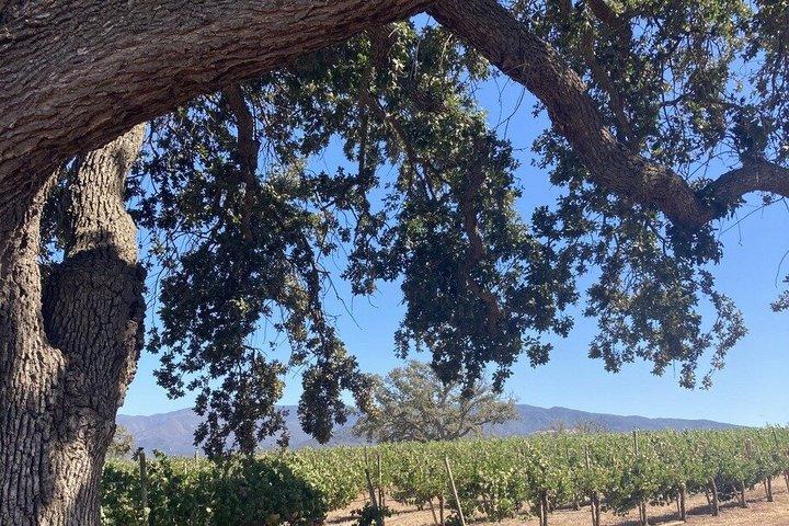 Wine Tours ( private ) 6 full hours .