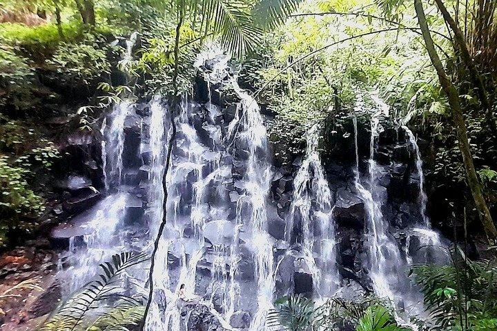 Miglior Ubud Highlight Cascata All Inclusive