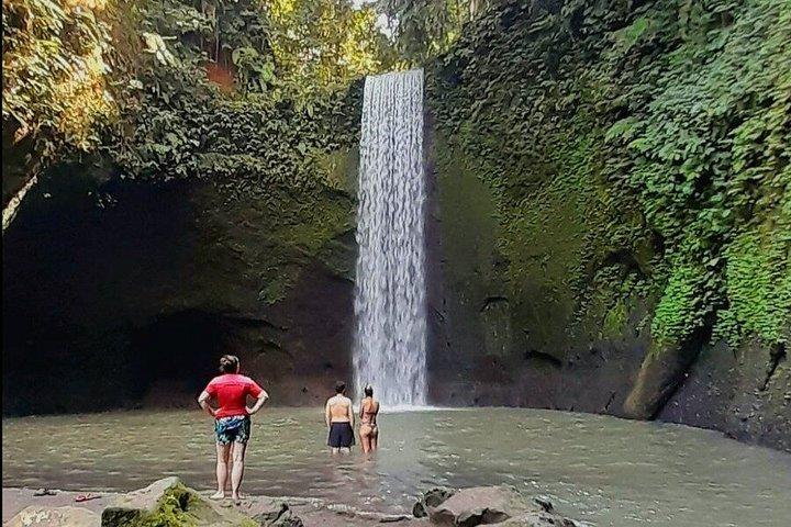 Miglior Ubud Highlight Cascata All Inclusive