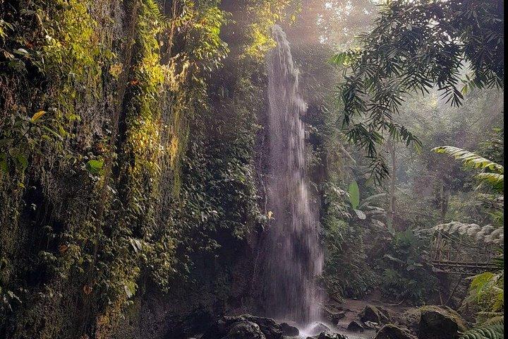 Miglior Ubud Highlight Cascata All Inclusive