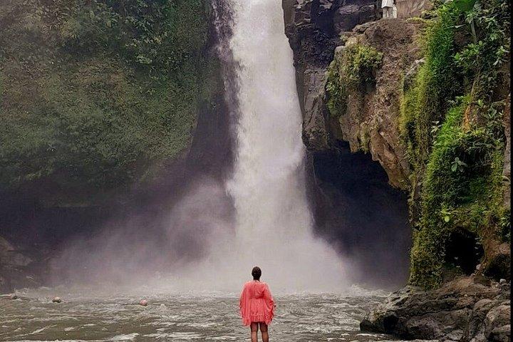 Miglior Ubud Highlight Cascata All Inclusive