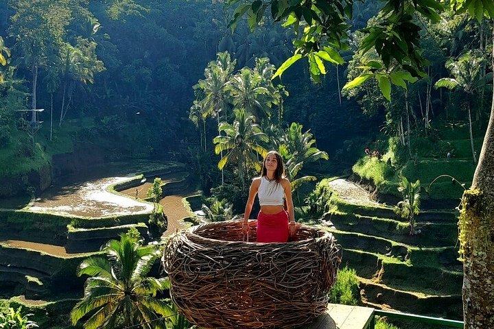 Miglior Ubud Highlight Cascata All Inclusive