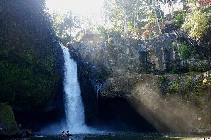 Miglior Ubud Highlight Cascata All Inclusive