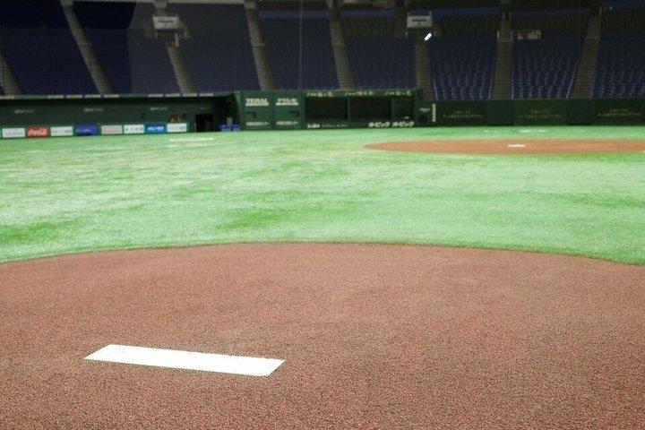 Tokyo Dome baseball history tour With a Nationally Licensed Guide