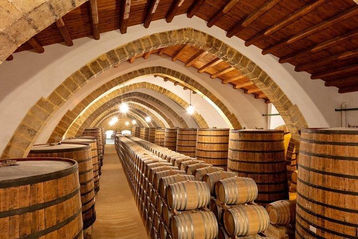 Marsala Wine Tasting Experience & Mothia
