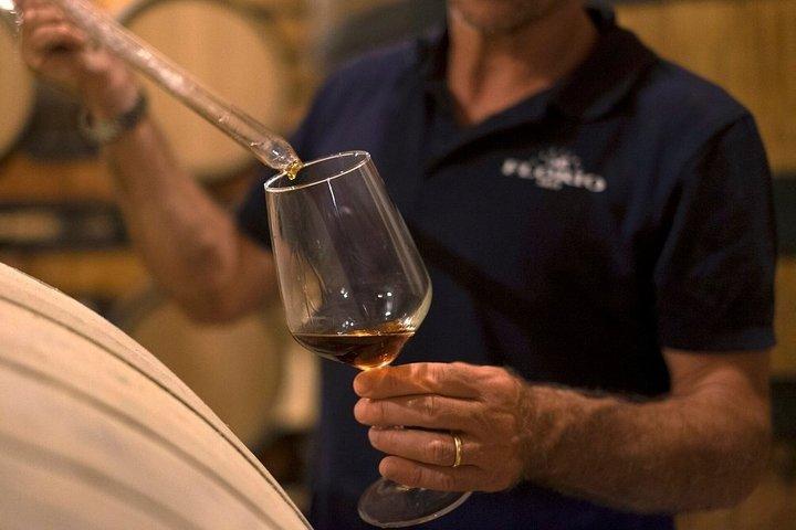 Marsala Wine Tasting Experience & Mothia