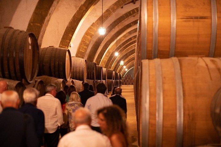Marsala Wine Tasting Experience & Mothia