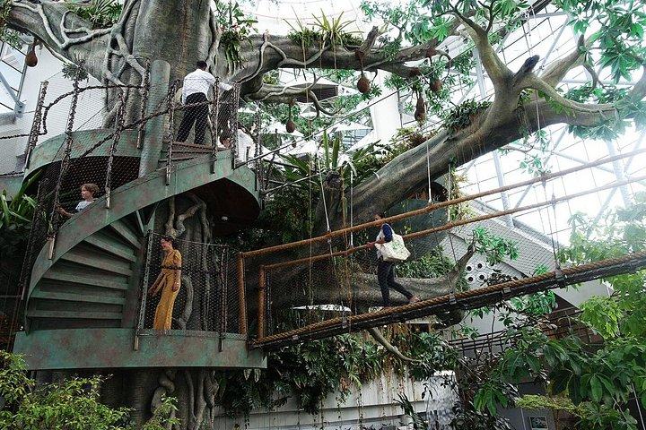 Green Planet Dubai Billetter Tilbud