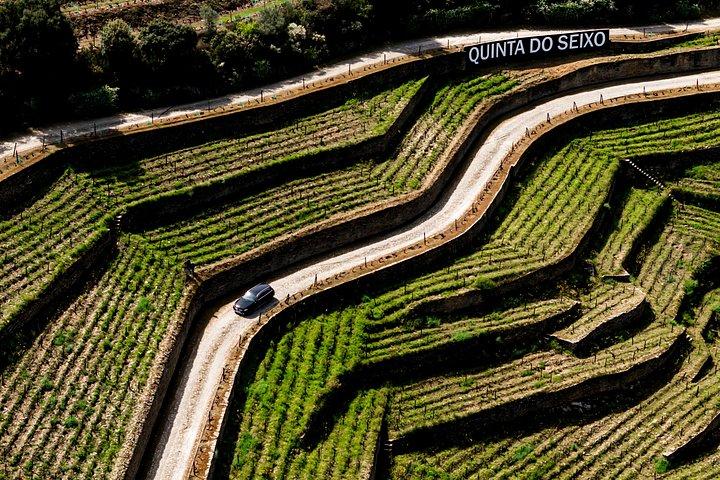 ポルト-ドウロ渓谷：ボート、列車、ワイン試飲＆ランチ付き