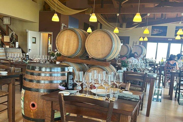 エトナ山ツアー、シルヴェストリ火口見学、ワイン4種の試飲、ワインセラーでのランチ