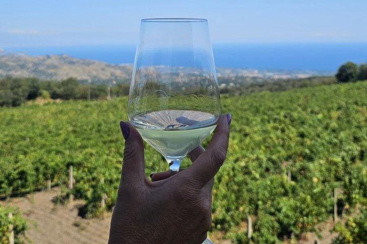 Excursion sur l'Etna, cratères de Silvestri, dégustation de 4 vins, déjeuner dans une cave
