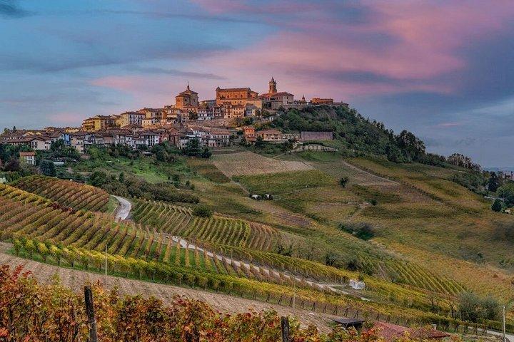 From Milan: Barolo Vineyards & UNESCO Wine Cellar Experience