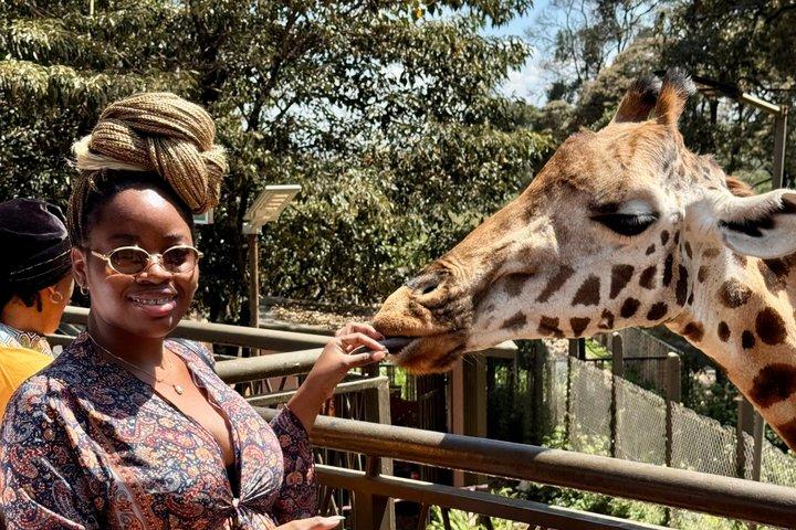 Visite d'une journée à Nairobi