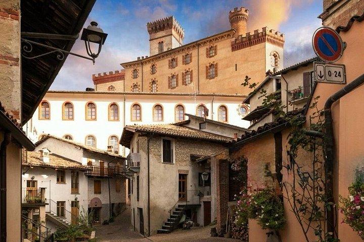 From Milan: Barolo Vineyards & UNESCO Wine Cellar Experience