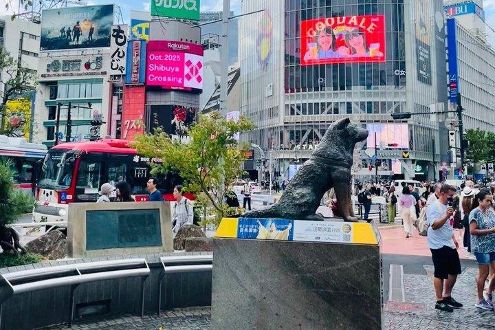 ベスト・オブ・トーキョー：初めての人のための新宿・渋谷ツアー