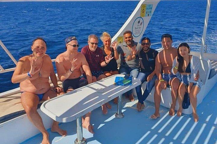 ハルガダでドルフィンハウス・スノーケリングクルーズでイルカと泳ぐ