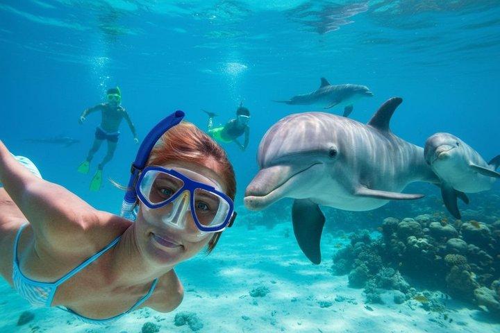 Hoteller i nærheden af Dolphin House Hurghada Snorkeling Cruise