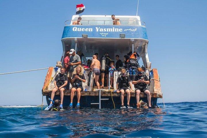 ハルガダでドルフィンハウス・スノーケリングクルーズでイルカと泳ぐ