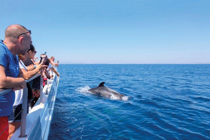Vilamoura : イルカ＆ベナギル洞窟-カタマラン