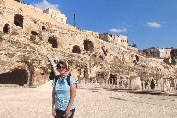 イスタンブール：フライト＆ガイド付きゴベクライトペ日帰り旅行