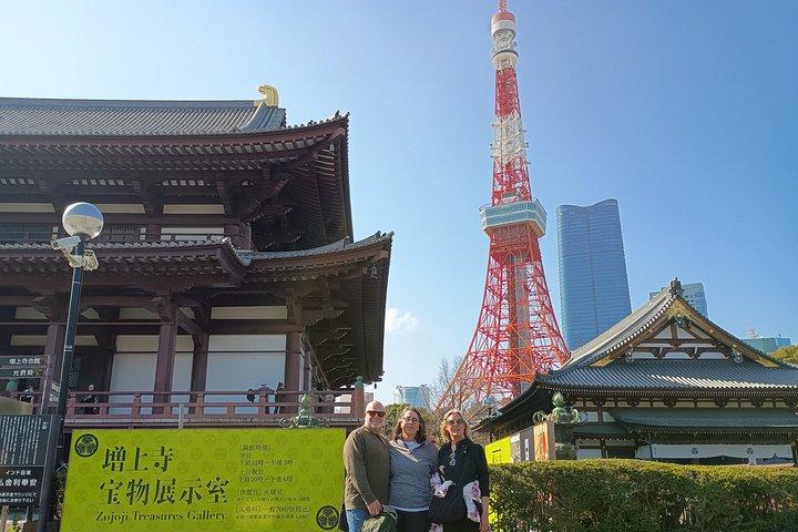 横浜＆東京港またはホテルからのベストオブ東京プライベートツアー