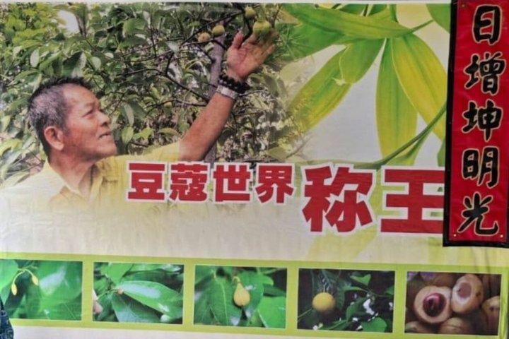Explorez le joyau caché de Penang à Balik Pulau