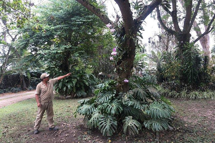 Coffee Farm Experience Tagestour