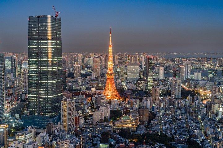 レゴランド・ディスカバリーセンター東京入場券