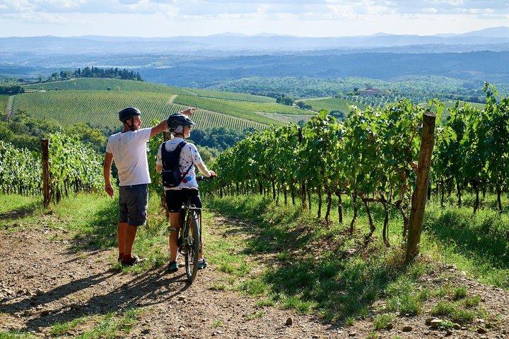 2 - Dia E-Bike Tuscany Tour com refeições, vinícolas e Farmstay