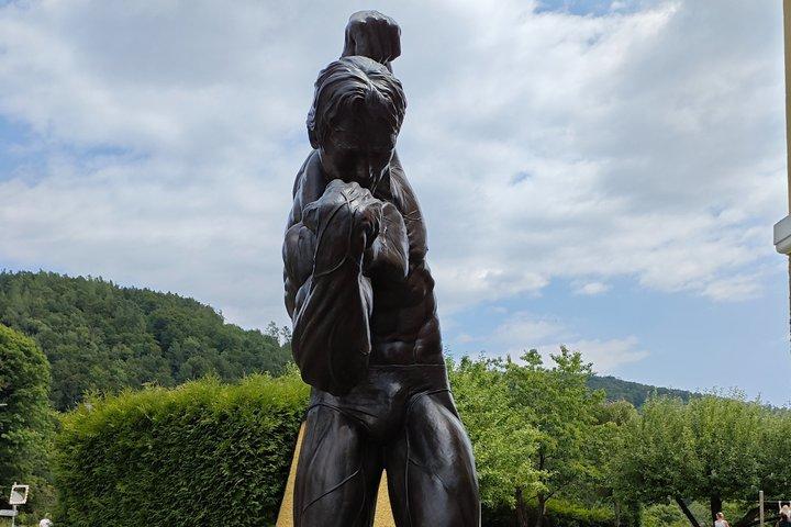Museo Arnold Schwarzenegger e tour privato di Graz da Vienna