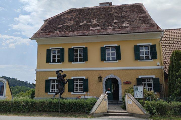 Museo Arnold Schwarzenegger e tour privato di Graz da Vienna