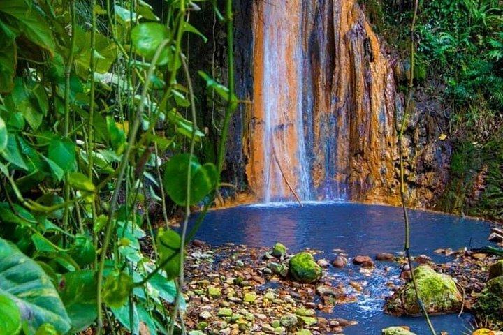 Soufriere Botanical Gardens and Mud Baths Tour with Lunch