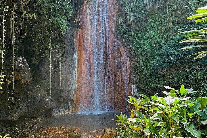 Soufriere Botanical Gardens and Mud Baths Tour with Lunch