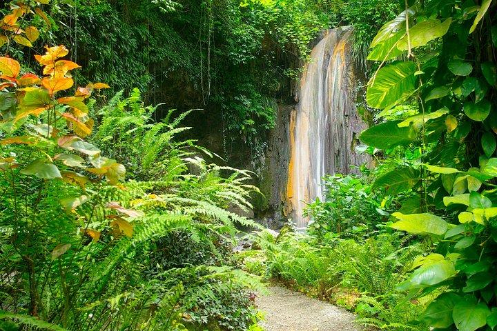 Soufriere Botanical Gardens and Mud Baths Tour with Lunch