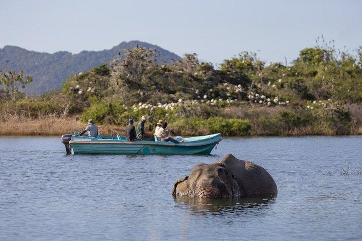 Tour Sri Lanka All Inclusive de 7 Dias Sigiriya Kand Ella e Galle