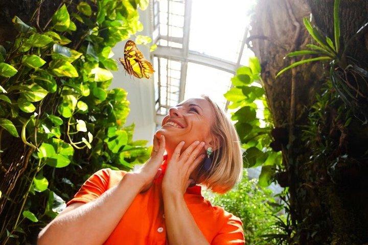 Billetter til Dubai Butterfly Garden