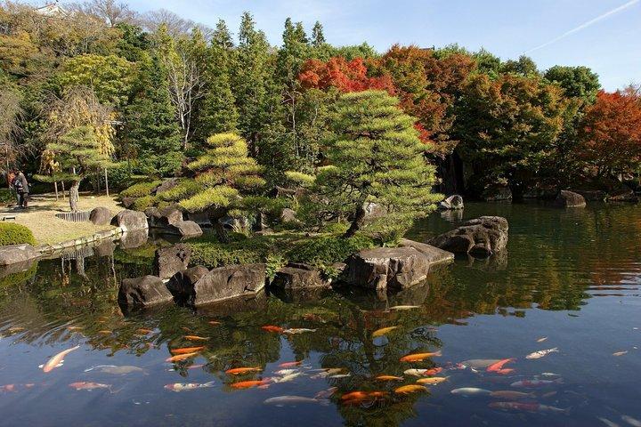 京都から行く姫路城と好古園プライベート日帰り旅行