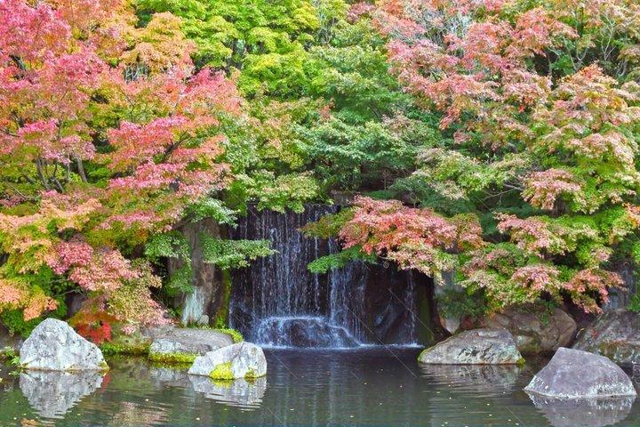 京都から行く姫路城と好古園プライベート日帰り旅行