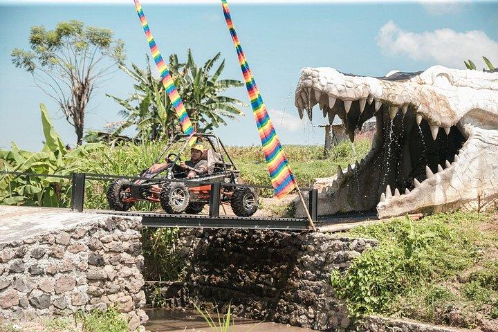 Ubud UTV BUGGY trough Rice Field and Mud Adventure