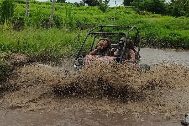 Ubud UTV BUGGY trough Rice Field and Mud Adventure