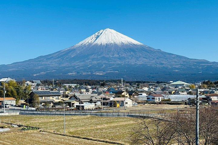 Lake Tanuki & Traditional Sake Brewery -Guided Van Tour