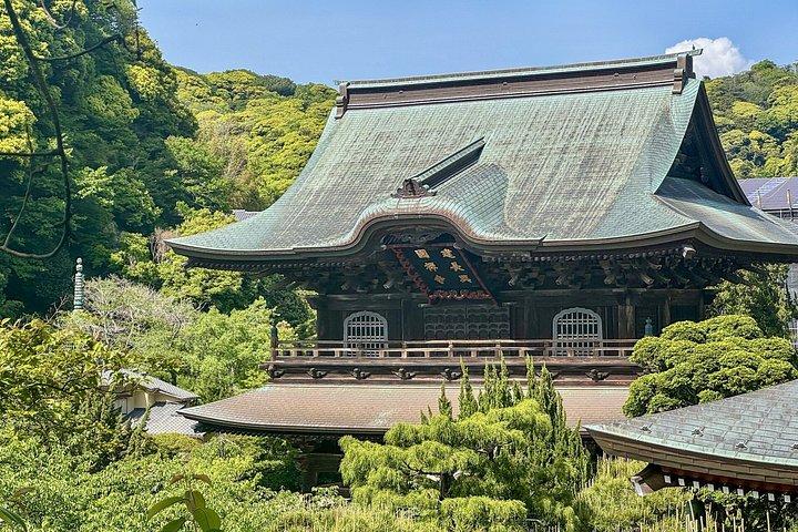 Kamakura Heritage and Nature Hiking Experience