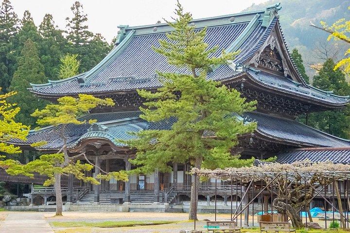 Kamakura Heritage and Nature Hiking Experience