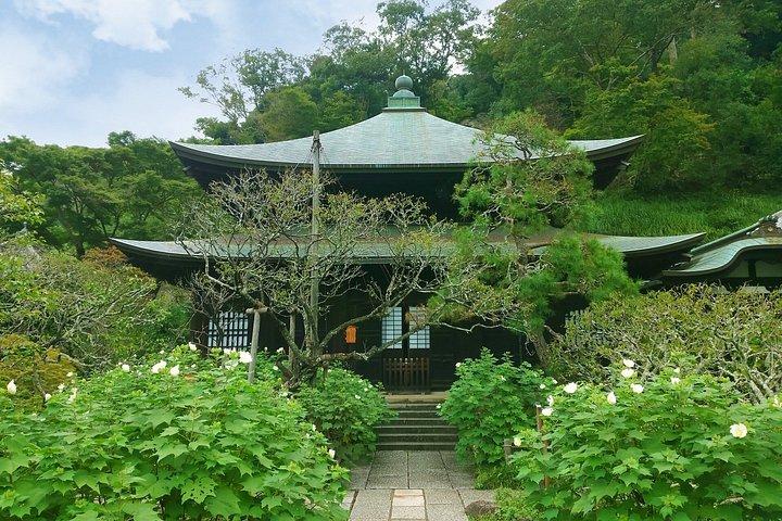 Kamakura Heritage and Nature Hiking Experience