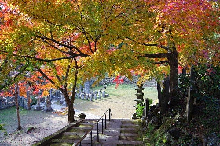 Kamakura Heritage and Nature Hiking Experience