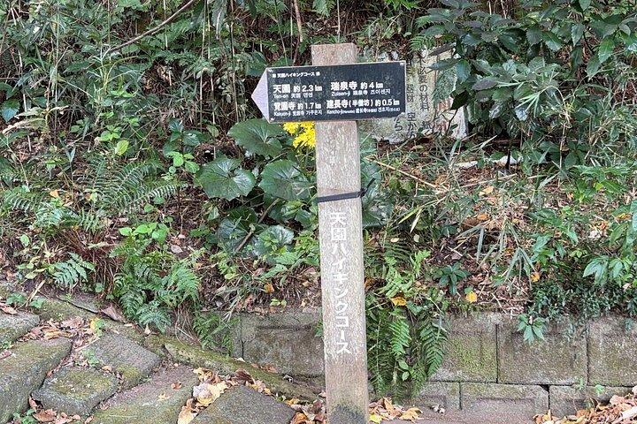Kamakura Heritage and Nature Hiking Experience