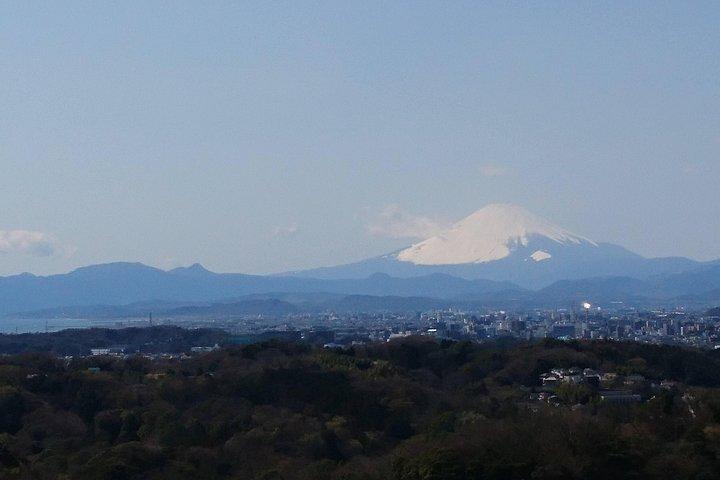 Kamakura Heritage and Nature Hiking Experience